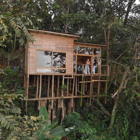 Luxury Tiny House - Minca Villa Exterior photo